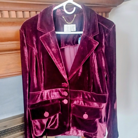 Joie Jackets & Blazers - Joie Velvet Burgundy Blazer